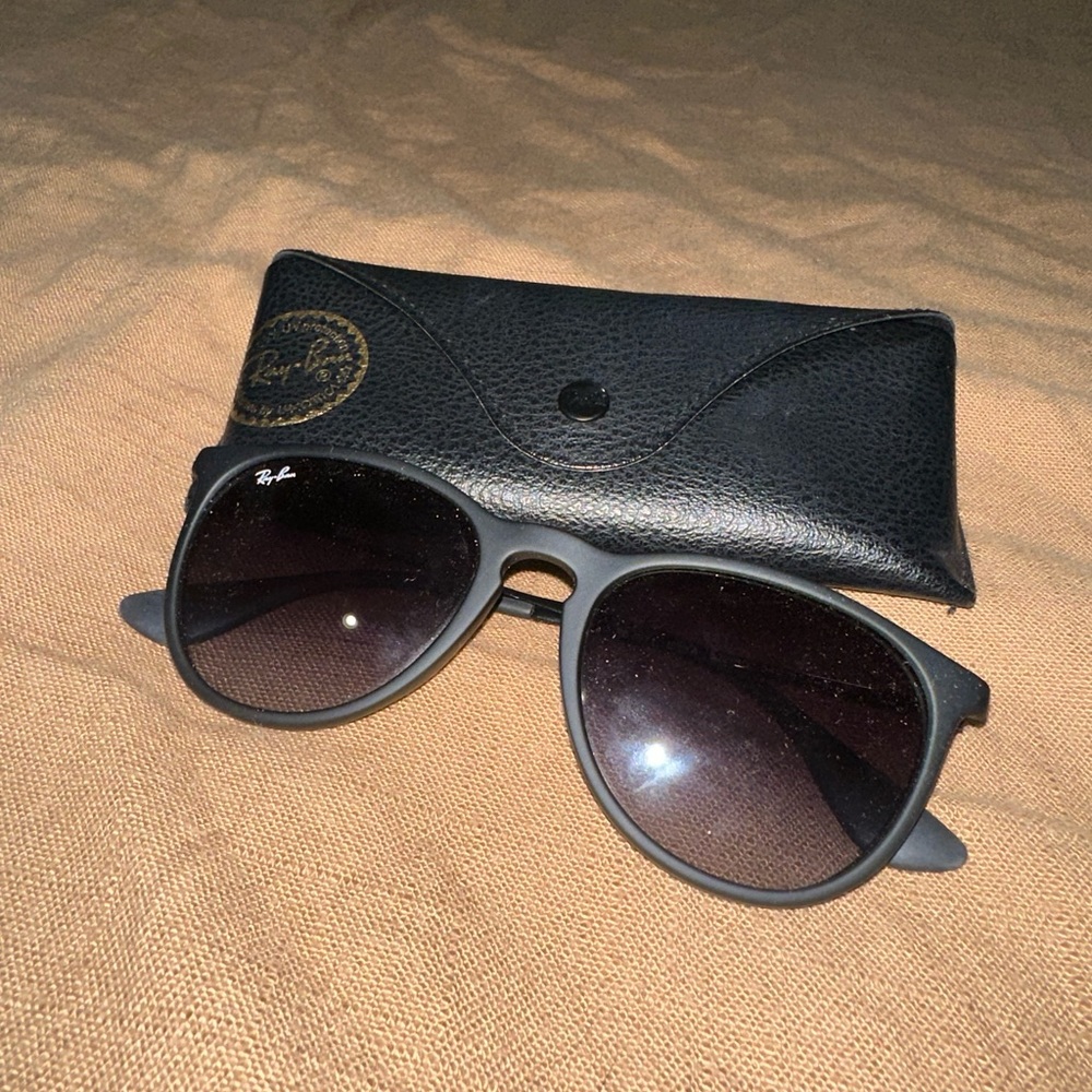 Ray Ban Erika Sunglasses